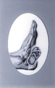 Maternity Reflexology. maternity foot